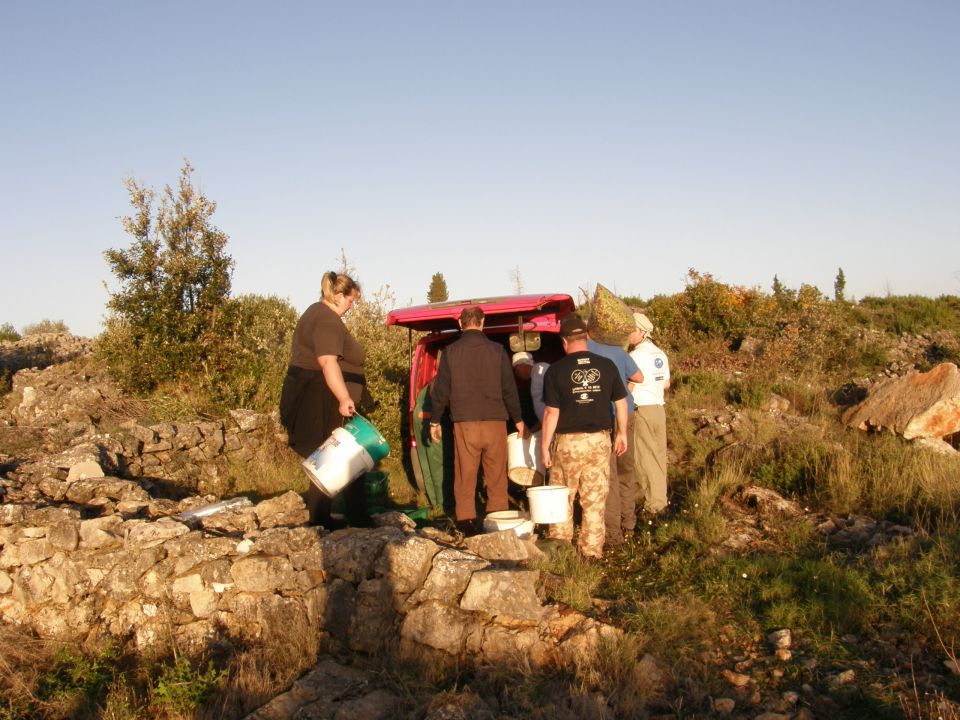 Bogomolje Hvar november 2010 - foto povečava