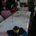 rače
14.06.2009