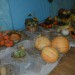 13.09.2009 
Kungota