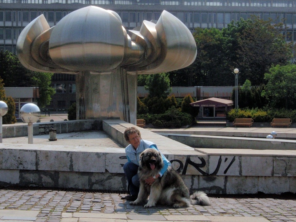 Bratislavska fontana brez vode