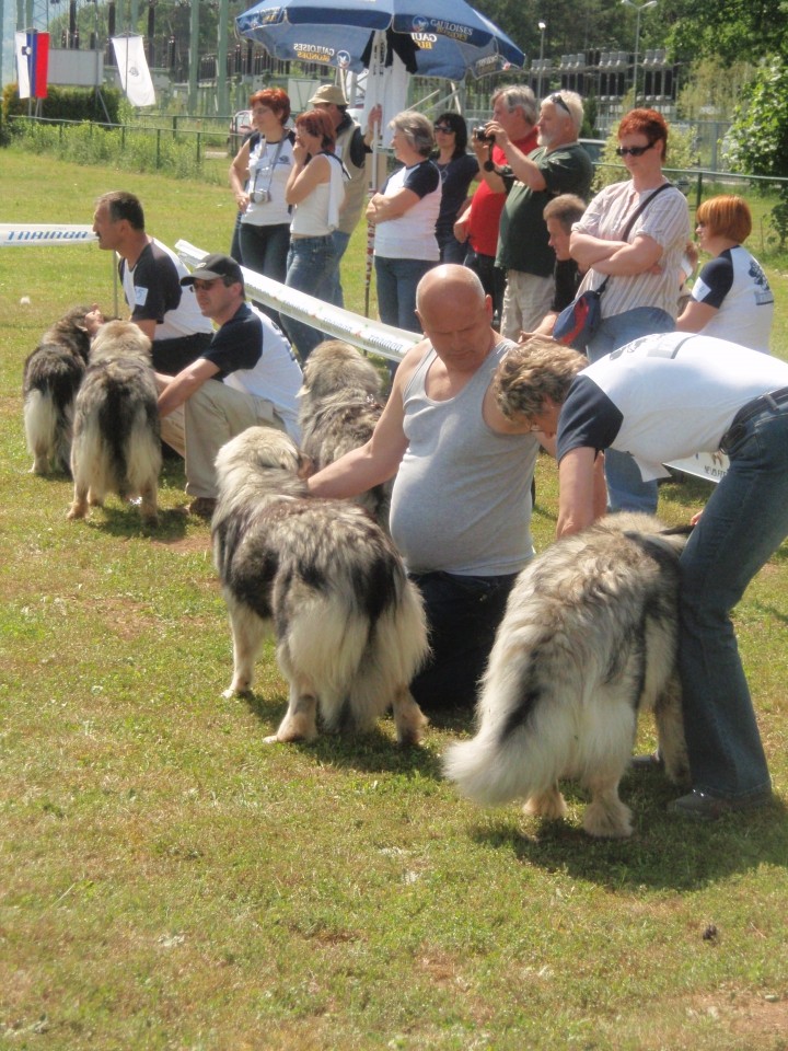 Specialna razstava KO 17.05.2009 - foto povečava