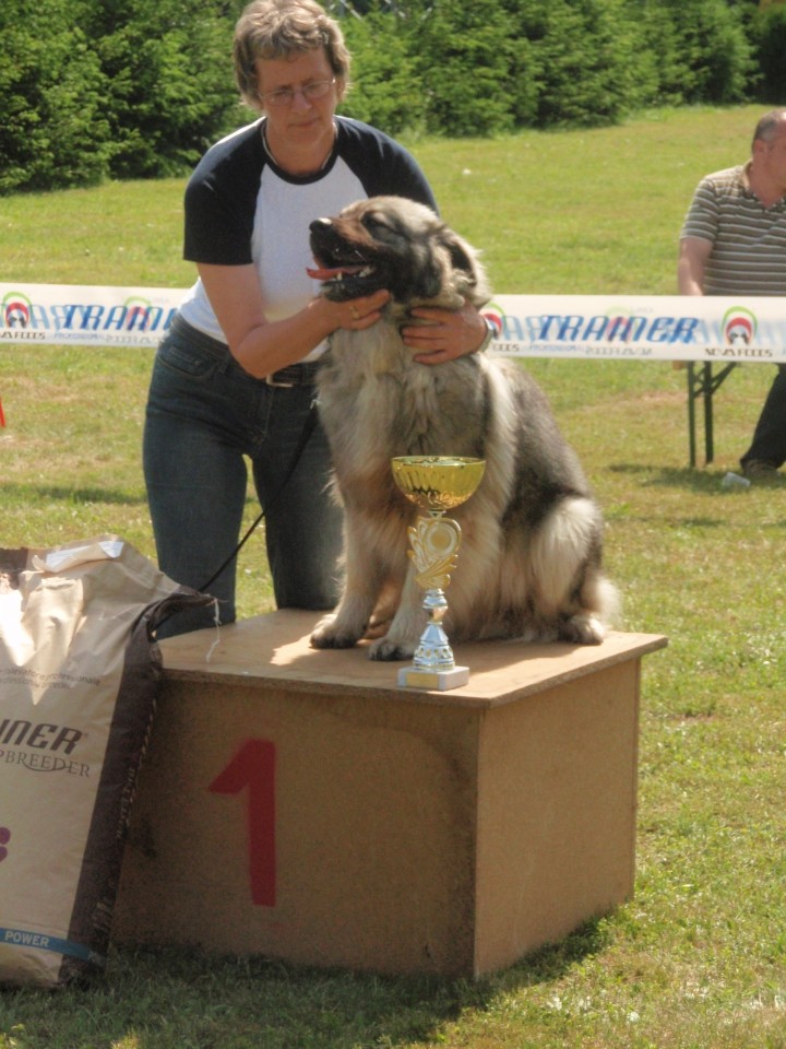 Specialna razstava KO 17.05.2009 - foto povečava