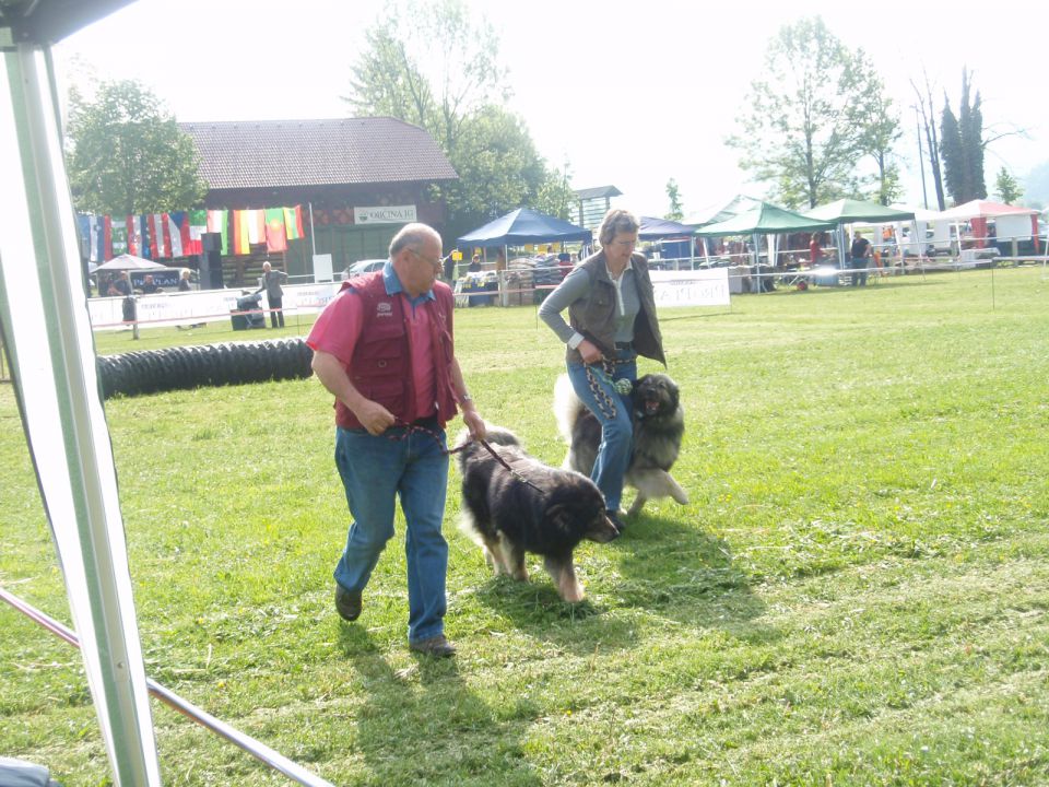 CAC BARJE  9.5. 2010 - foto povečava