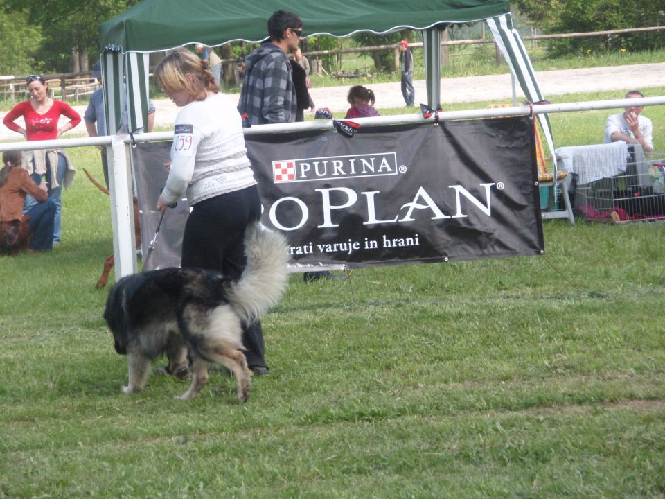 CAC BARJE  9.5. 2010 - foto povečava