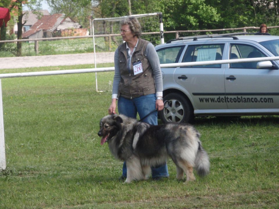 CAC BARJE  9.5. 2010 - foto povečava