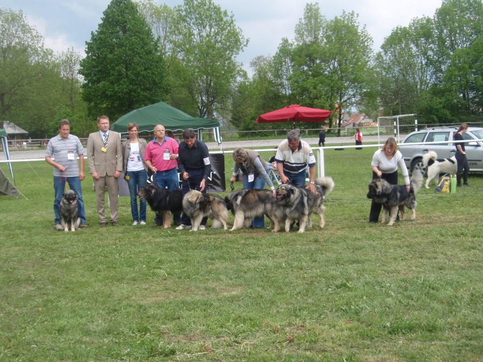 CAC BARJE  9.5. 2010 - foto povečava