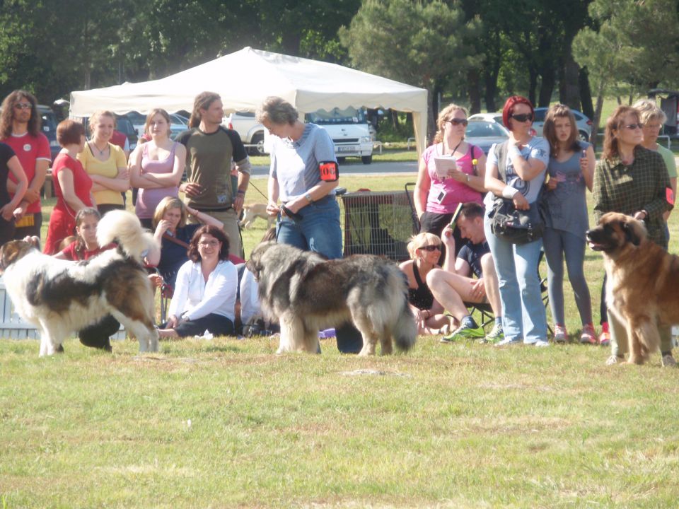 CACIB UMAG 23.5. 2010 - foto povečava