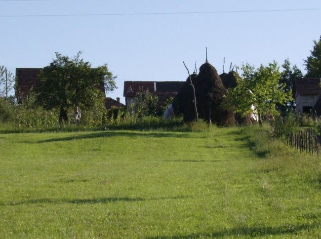 TO MI JE NAJDRAZI DIO ZEMLJE - foto povečava