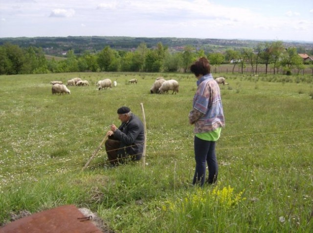 TO SU MI NAJDRAZI LJUDI NA TOJ ZEMLJI - foto