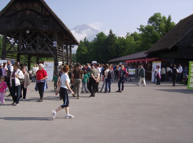 TRCANJE OKO TITINOG BRDA PRI KRANJU 16.05.200 - foto