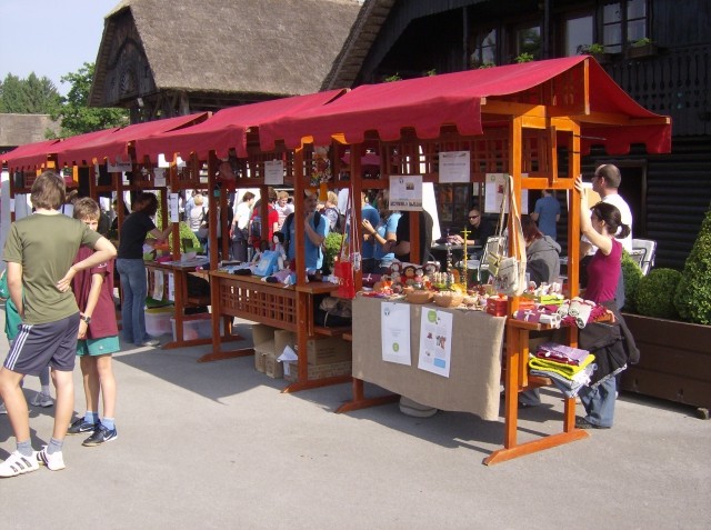 TRCANJE OKO TITINOG BRDA PRI KRANJU 16.05.200 - foto