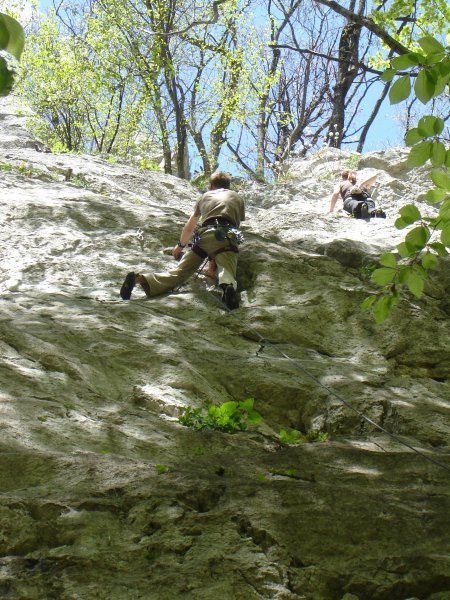 Kotečnik20.04.2008 - foto povečava