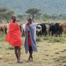 Masai so predvsem pastirji