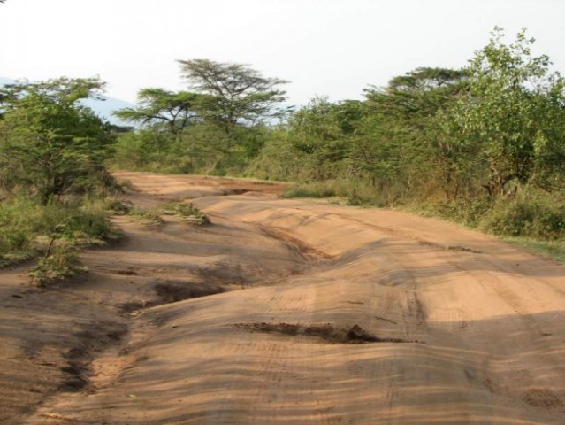 Ceste v afriki - zlata sredina