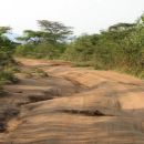 ceste v afriki - zlata sredina