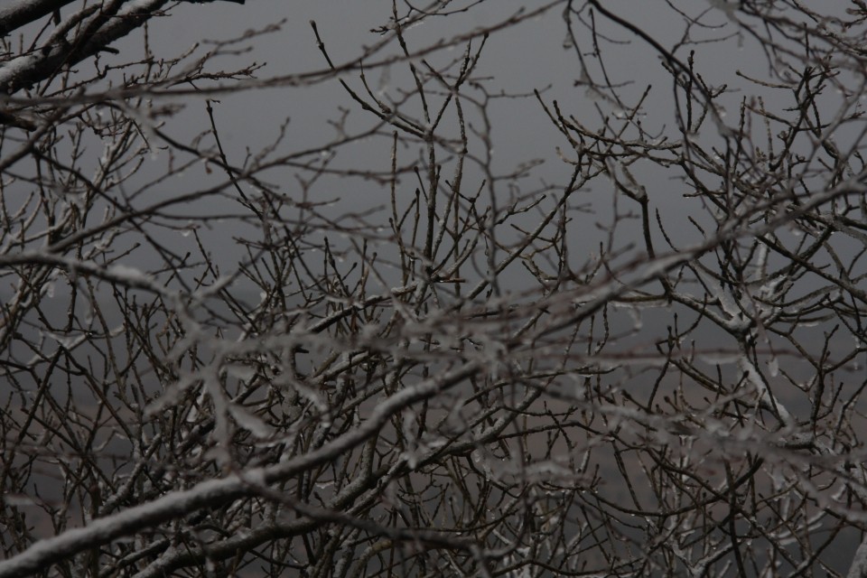 01.01. 2009 Slavnik - foto povečava