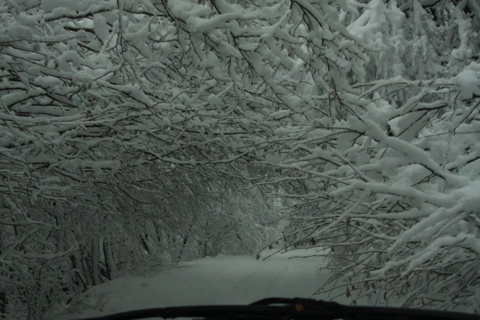 01.01. 2009 Slavnik - foto povečava