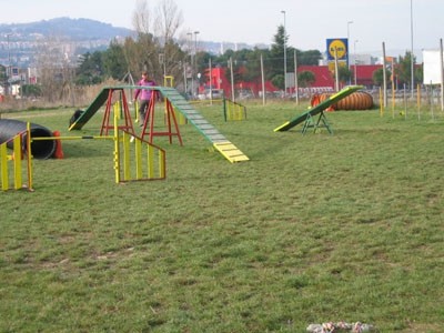1. agility piknik KD Obala - foto povečava