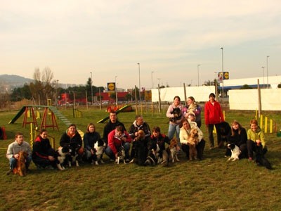 1. agility piknik KD Obala - foto povečava