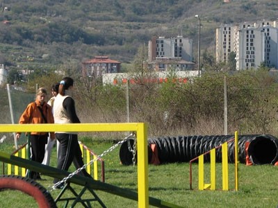 2. agility piknik KD Obala - foto