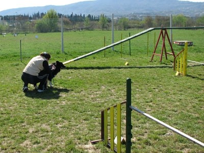 2. agility piknik KD Obala - foto povečava