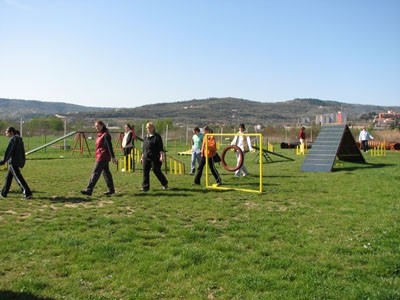 2. agility piknik KD Obala - foto