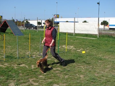 2. agility piknik KD Obala - foto