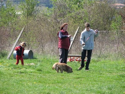 2. agility piknik KD Obala - foto povečava