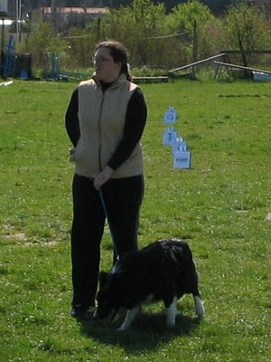 2. agility piknik KD Obala - foto povečava