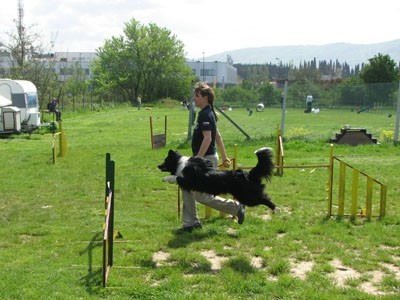 3. agility piknik KD Obala - foto povečava