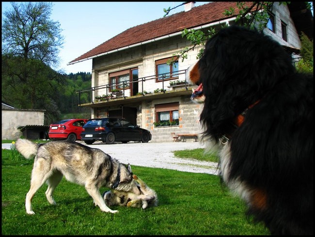 26.04.2008 - foto povečava