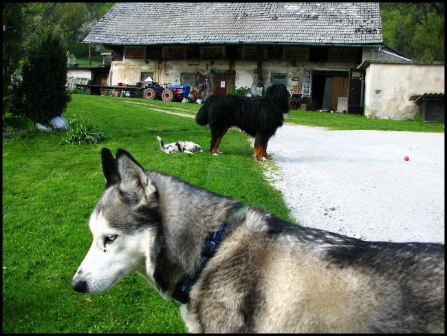 26.04.2008 - foto povečava