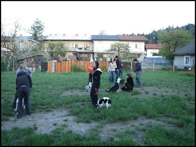 Mala šola, 28.04.2008 - foto povečava