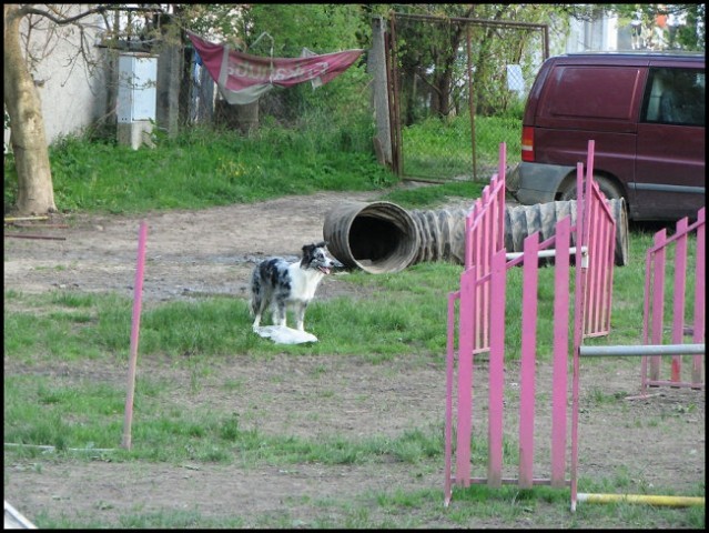 Mala šola, 28.04.2008 - foto