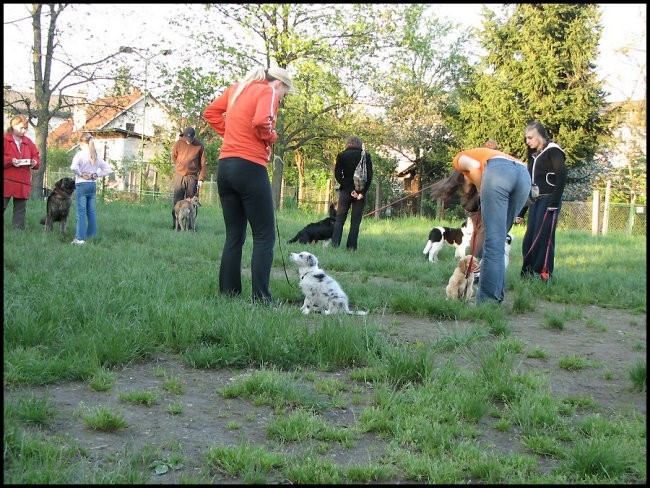 Mala šola, 28.04.2008 - foto povečava