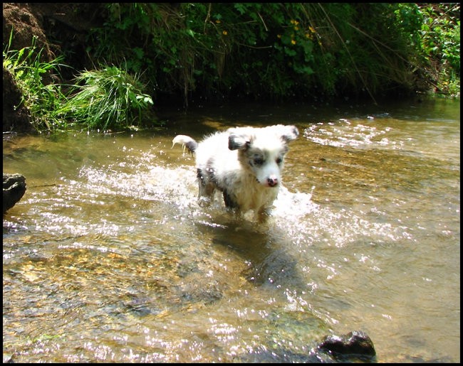 7.maj 2008 - foto povečava