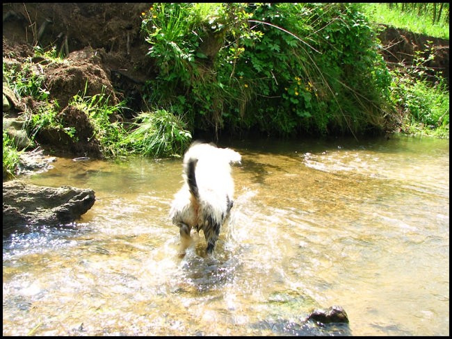 7.maj 2008 - foto povečava