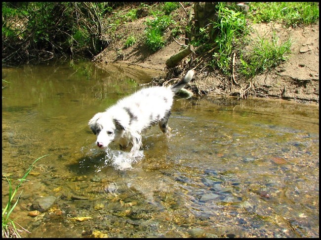 7.maj 2008 - foto povečava