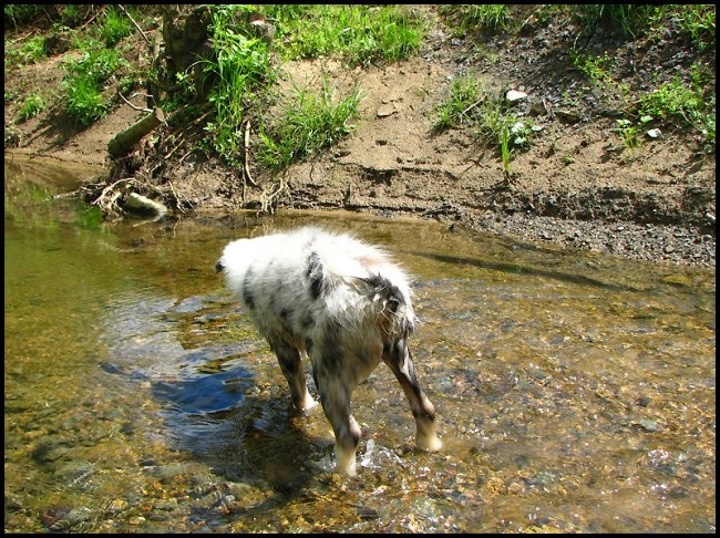 7.maj 2008 - foto povečava