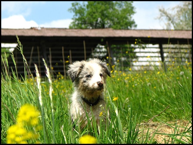 10.maj 2008 - foto povečava