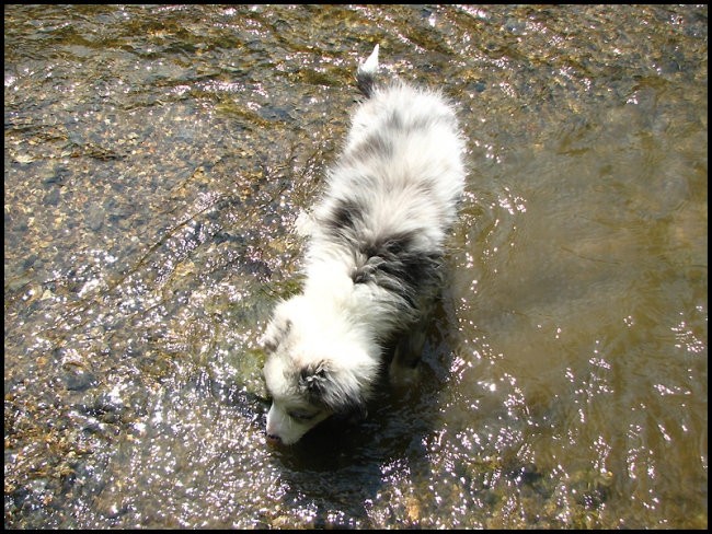 10.maj 2008 - foto povečava