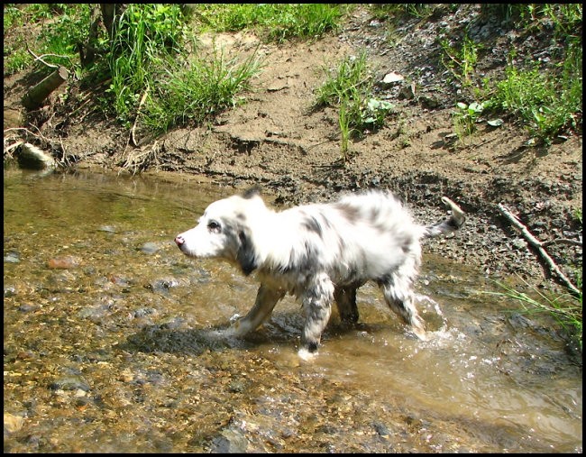 10.maj 2008 - foto povečava