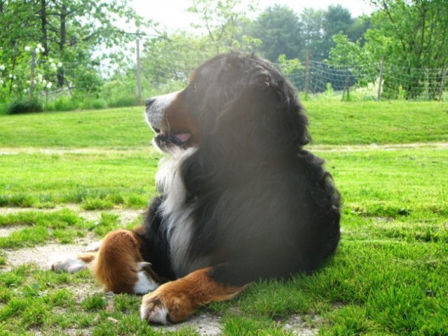 17.maj 2008 - foto