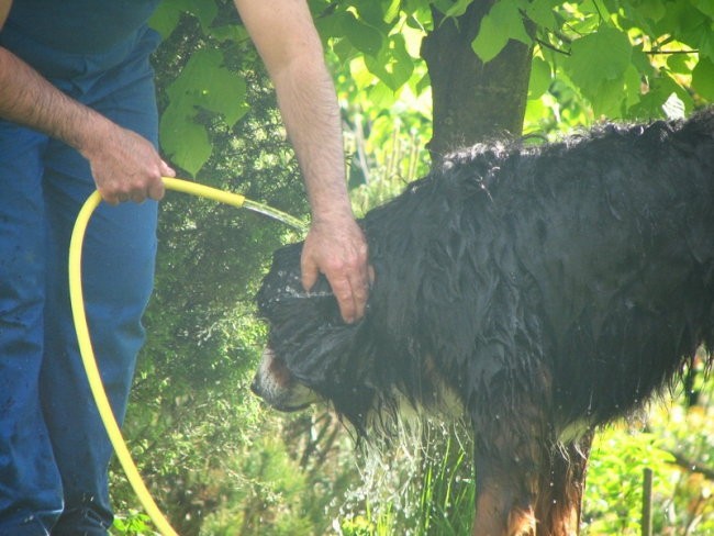 11.maj 2008 - foto povečava