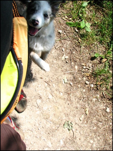 Odpoklic, 30.maj 2008 - foto povečava