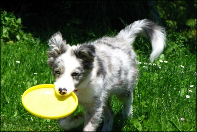 Junij 2008 - foto