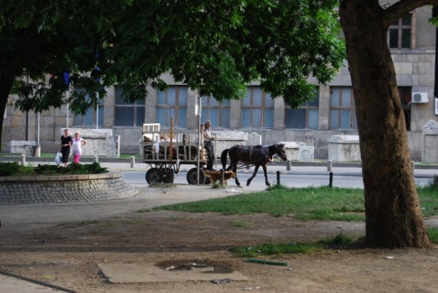 Emmm, prebivalci Skopja najbolj ne marajo to, da vsi slikamo te konjske vprege in pošiljam