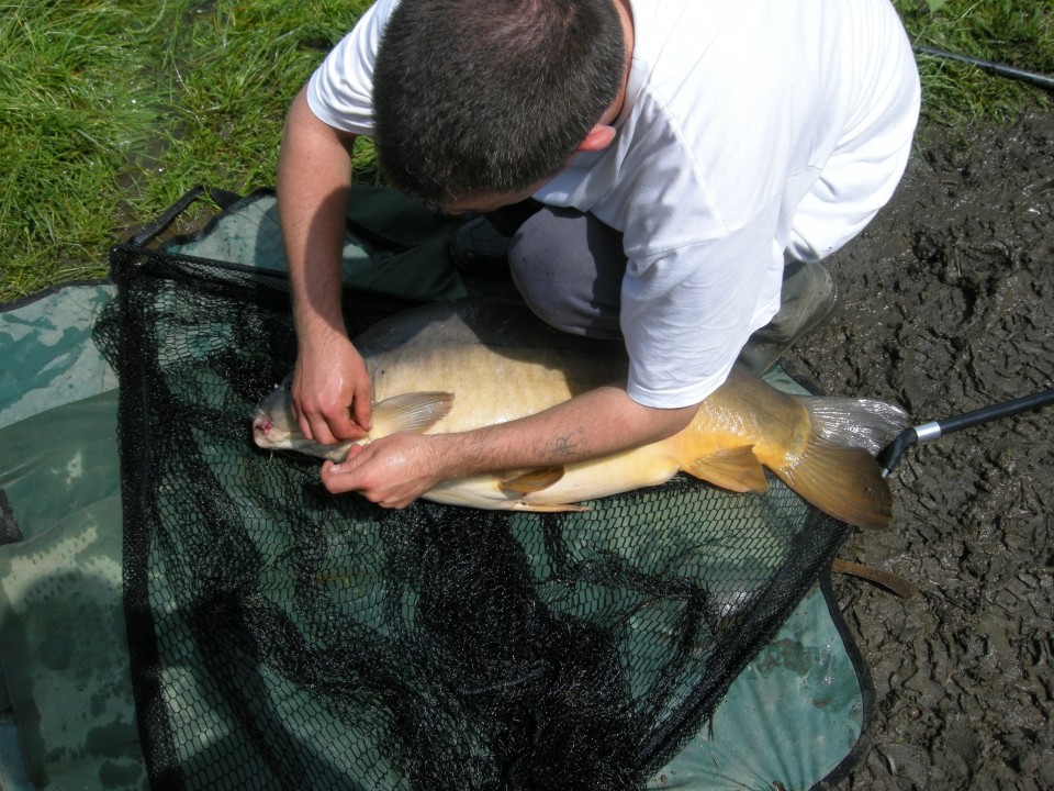 LiebmanSee (AUT) - 24.6.2009 - 27.6.2009 - foto povečava