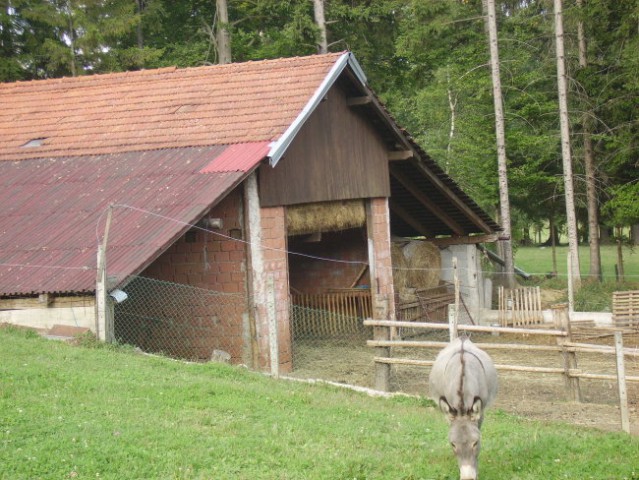 Ekološka kmetija Pri Jerajevih - foto