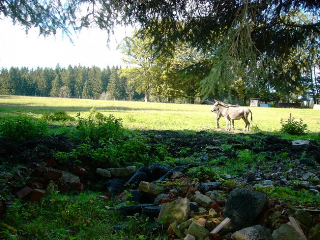 Ekološka kmetija Pri Jerajevih - foto